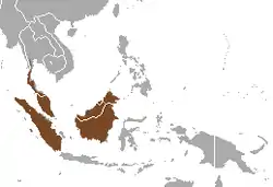 Distribución de la civeta de las palmeras rayada