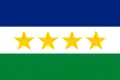 Bandera de Calabozo