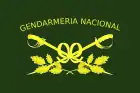 Bandera de la Gendarmería Nacional Argentina, única de este lista sin el celeste y/o blanco, si no que tiene  dos sables amarillos con un fondo verde