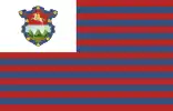 Bandera_del_Departamento_Guatemala