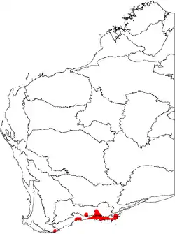 Distribución de B. speciosa (Banksia vistosa), mostrada en un mapa de las regiones biogeográficas de Australia Occidental.