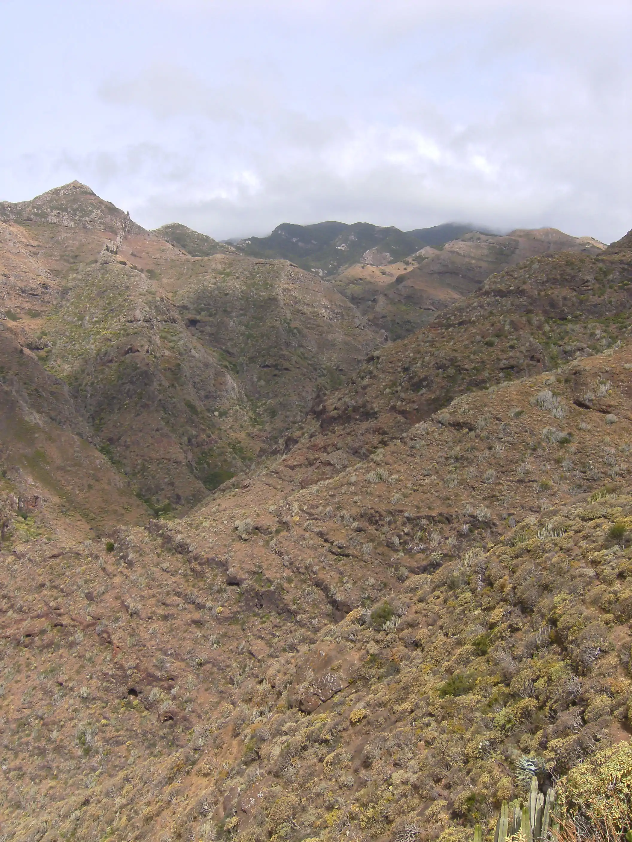 Barranco de Ijuana.