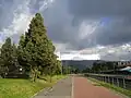 Cicloruta en el canal de Córdoba