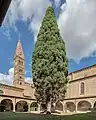 Patio.