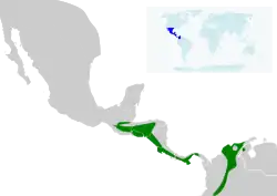 Distribución geográfica de la reinita coronicastaña.