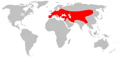 Mapa de distribución mundial de M. foina