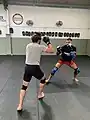 Sparring (entrenamiento al combate con un compañero)