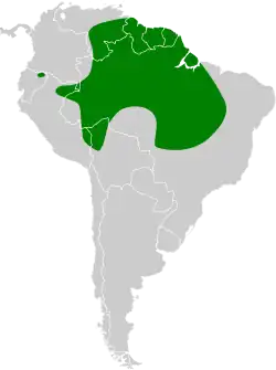 Distribución geográfica del palmero.