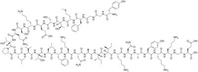 Imagen de la estructura