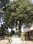 Estatua de Bhanubhakta Acharya en la Academia de Nepal