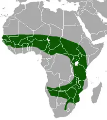 Área de distribución