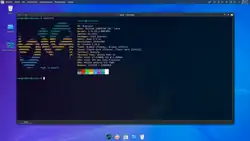 Neofetch en la  distro BigLinux.