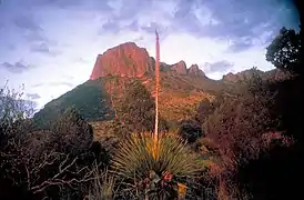 Big Bend