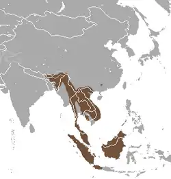 Distribución del manturón