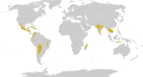 Distribución de los bosques secos en el mundo