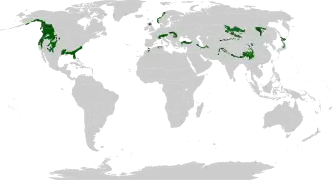 Mapa de distribución de bosques templados de coníferas.