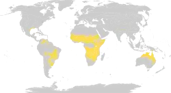 Distribución global de las praderas tropicales y subtropicales (Sabanas).