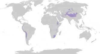 Mapa de distribución de praderas y matorrales de montaña