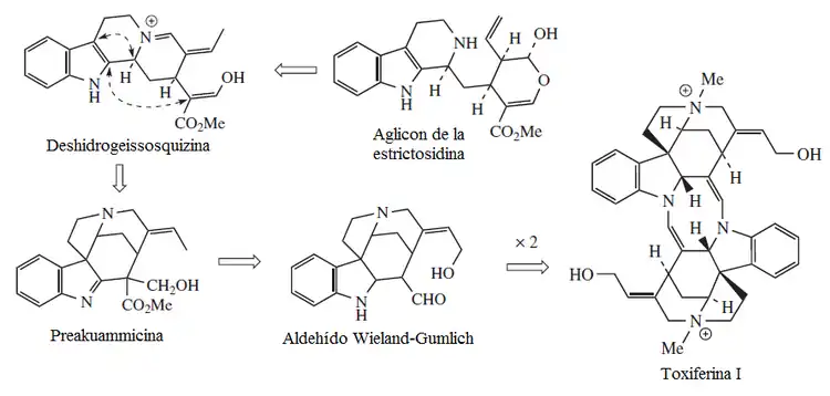 Biosíntesis de la toxiferina