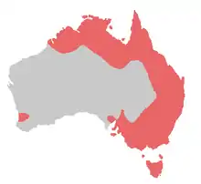 Distribución en Australia