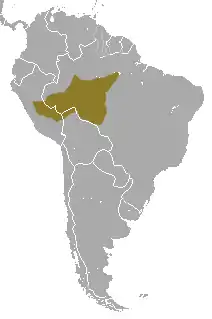 Distribución del mico nocturno de cabeza negra