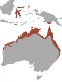 Distribución de Pteropus alecto