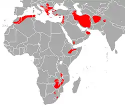 Distribución de R. blasii