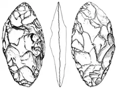 Blattspitzen centroeuropea