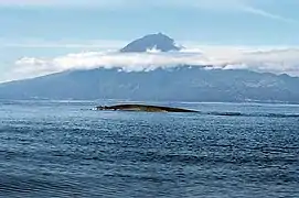 Volcán Pico en la isla de Pico