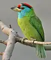 En  Calcuta, Bengala Occidental, India.