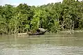 Sundarbans