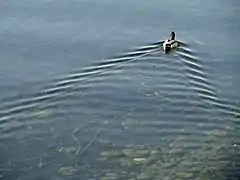 Lago Constanza en Lindau