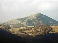 Borišov