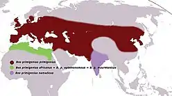 Distribución de las subespecies salvajes