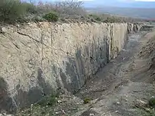 Bosque carbonífero de Verdeña