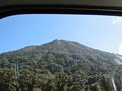 Bosque de los flancos del volcán.