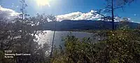 Imagen desde el bosque andino hacia el lago.