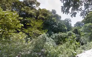 Bosques secos de Jalisco, Aquila