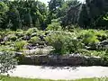 La rocalla en el jardín botánico Erlangen.