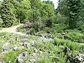 Alpinum del jardín botánico de Friburgo.