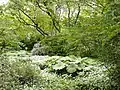 Un rincón del jardín botánico de Friburgo.