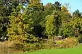 Vista parcial del "Botanischer Garten der Universität Zürich".