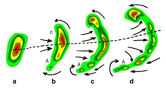 Típica evolución de un eco de radar de una tormenta (a) dentro del eco en arco (b, c) y dentro de un eco en coma (d). La línea punteada indica el eje del mayor potencial de las ráfagas descendentes. Las flechas indican los flujos de viento relativos de la tormenta. Se notan regiones de rotación ciclónica (C) y de rotación anticiclónica (A); ambas regiones, especialmente C, son capaces de soportar el desarrollo de tornados en algunos casos.