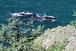 Shantar Islands NP