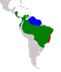 Distribución de Bradypus: B. pygmaeus, B. torquatus, B. tridactylus y B. variegatus.