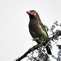 En  Delhi, India.