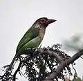 En  Delhi, India.