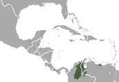 Distribución del Ateles hybridus'