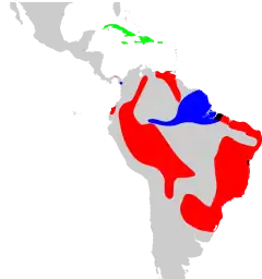 Verde = secc Brunfelsia, rojo = secc Franciscea, azul = secc Guianenses, negro = secc Franciscea y Guianenses