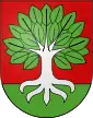 Buchholterberg